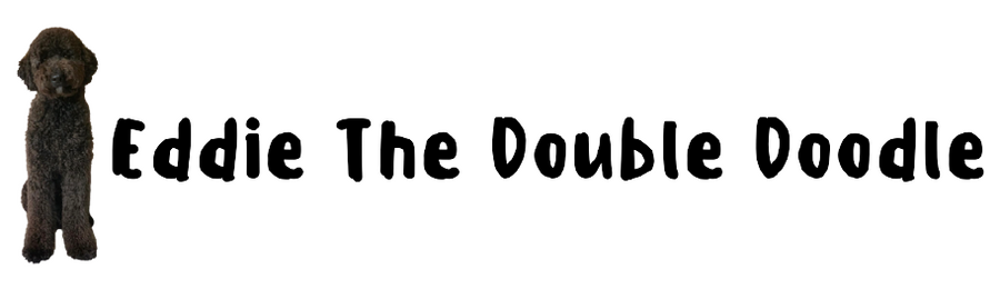 Eddie The Doodle Logo Image